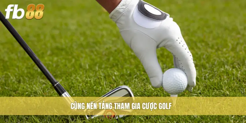 Cùng nền tảng tham gia cược golf