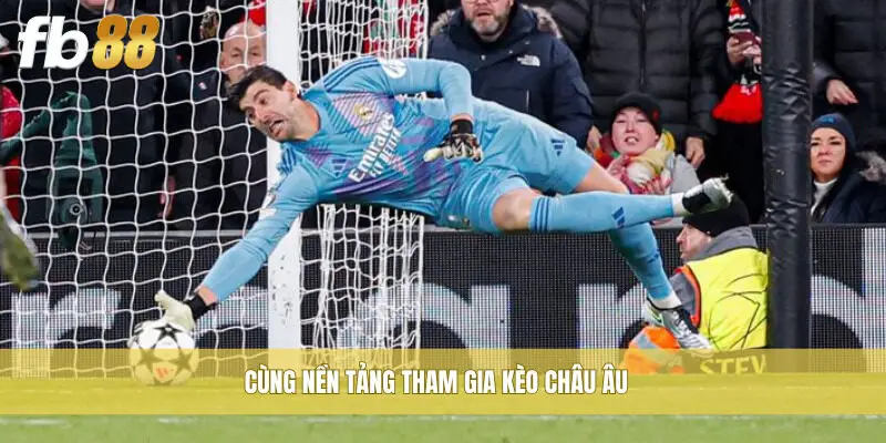 Cùng nền tảng tham gia kèo Châu Âu