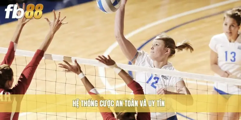 Hệ thống cược an toàn và uy tín